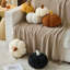 Coussin de citrouille, coussins décoratifs d'automne pour canapé, coussins de lit en peluche pour lit-130140723