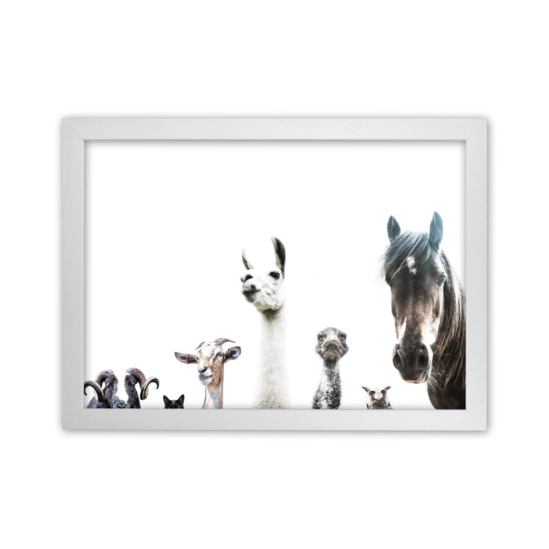 Animal Crew by Victoria Frost - Print, 34cm H x 46cm W x 3cm D, White Framed