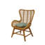 Padmini Upholstered Accent Chair
