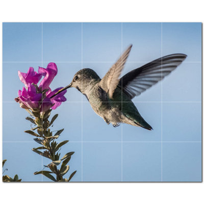 Bird Photo 12'' x 12''