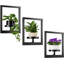 Ensemble de tablettes murales en métal pour plantes, support à plantes géométrique moderne pour décoration murale intérieure, cadres de présentation peu encombrants pour le salon, le balcon et les jardins de patio