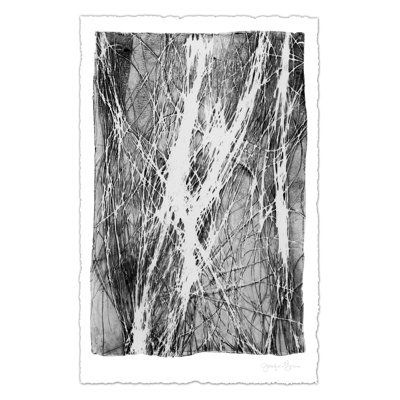 Free Flow IV by Jennifer Goldberger - Wrapped Canvas Print