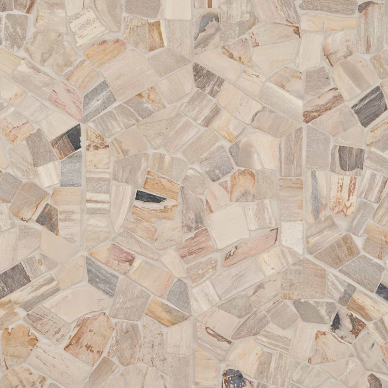 Fossil 10" Hexagon Tumbled Petrified Stone Mosaic Tile