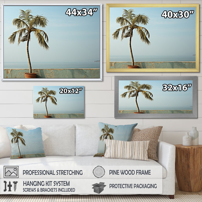 «Solitaire Palm Stand Tranquility I», reproduction sur toile, Cadre photo blanc, H 34 po x l 44 po x P 1,5 po