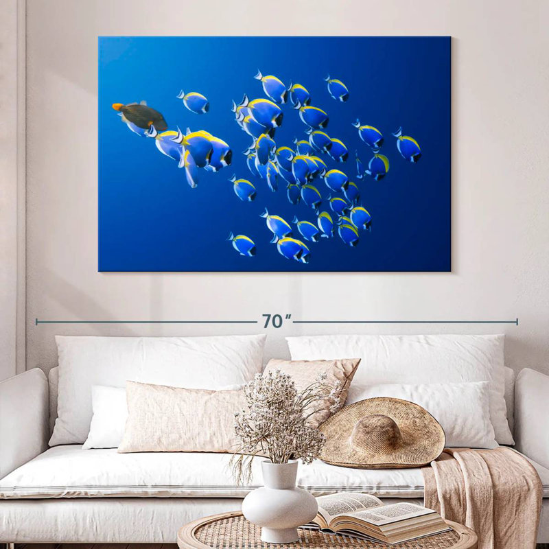 Underwater Blue Tangs