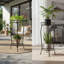 Plant Stand