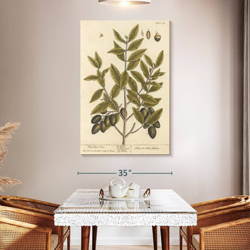 Keiri Olive Branch II, 51" H x 34" W