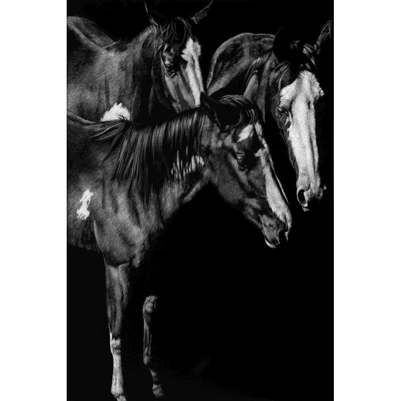 Scratchboard Blaze Buddies 2855298, H 18 po x l 12 po