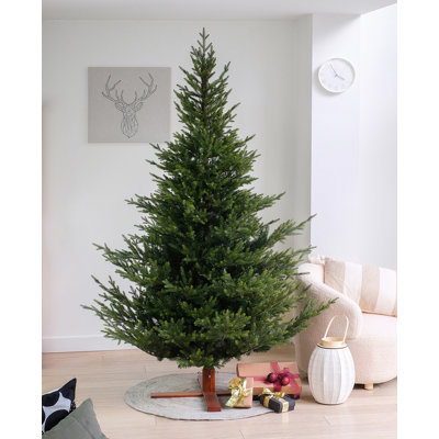 Sami Mountain Spruce Wood DB Base pre-shaped