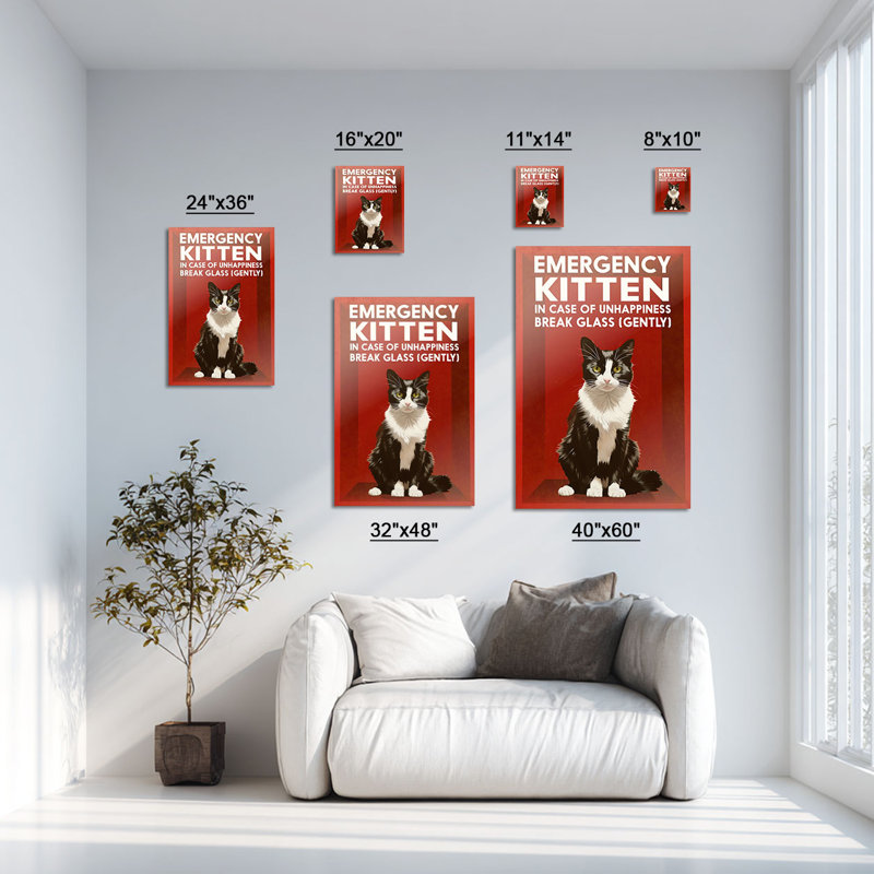 Toile d'urgence chat chaton d'urgence, 11"W x 14"H