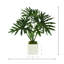Organic Modern Faux Philodendron Plant