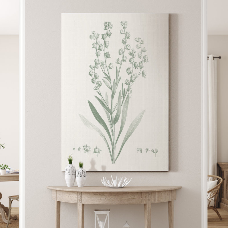 «Botanical Study in Sage I», reproduction d'art sur toile tendue, H 36 po x l 24 po x P 1 po