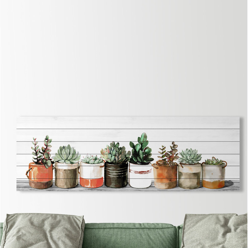 Impression encadrée « indoor succulents », H 20 po x l 60 po x P 1,5 po