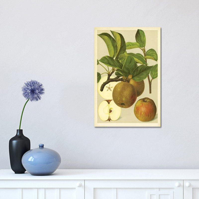 Russet Apples - Wrapped Canvas Print, 30.48 cm H x 45.72 cm W
