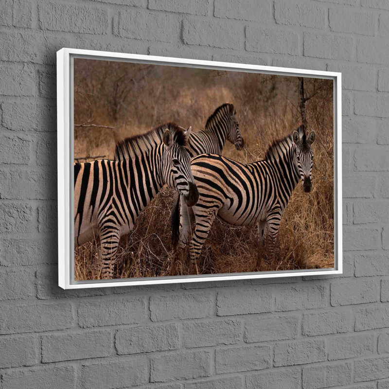 Print on Canvas, 25 cm H x 35 cm W, White Floater Framed
