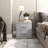 Caomhan 2 Drawer Nightstand