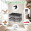 Under Bed Shoe Storage Organiser, Set of 2-352536095
