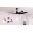  72-Inch 8-ABS Blade Large Modern Black Ceiling Fan With Light, Remote Control, And Timing Function