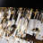 Xzavious Dimmable Cylinder Chandelier