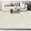 Area Rug in Ivory/White-252328232