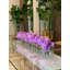 Orchid Floral Arrangement in Planter-1156158566