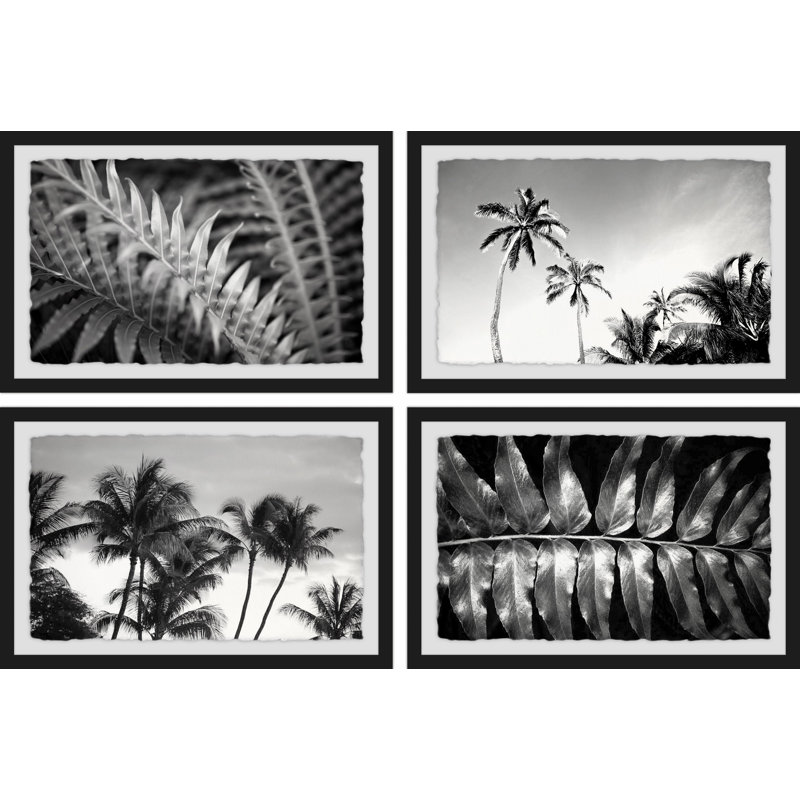 «Palm Trees Quadritych» par Morgan Hartley - Ensemble de 4 reproductions de photos sur papier encadrées