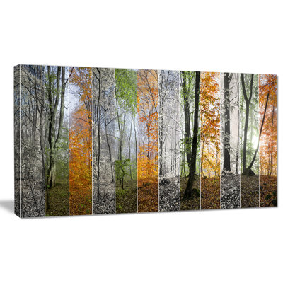 « wood panorama changing seasons », reproduction de photo sur toile tendue