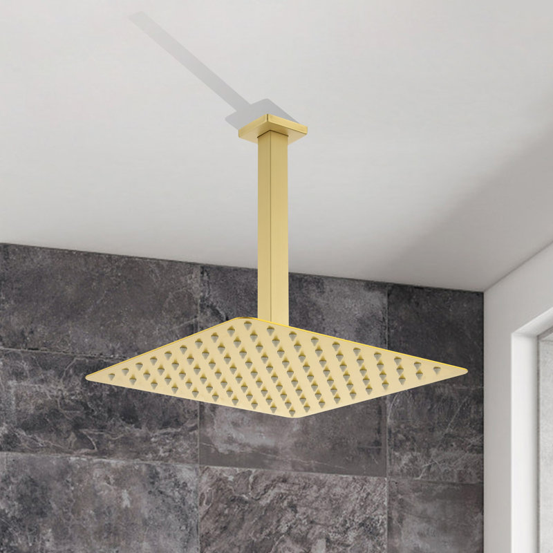 Rain Fixed Shower Head, Brushed Gold