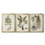 Fern Botanical III - Toile tendue avec châssis sur mesure - 3 pièces-1756760328-1756760331