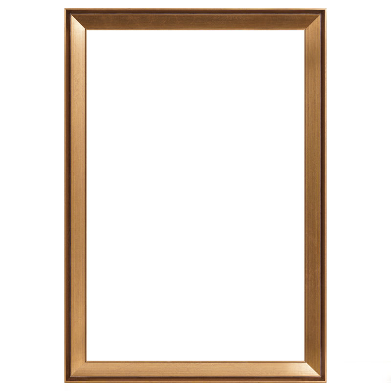 Antique Gold Picture Frame, 24" x 36"