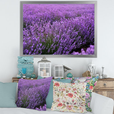 Blooming Purple Lavender Field - reproduction de cadre photo sur toile