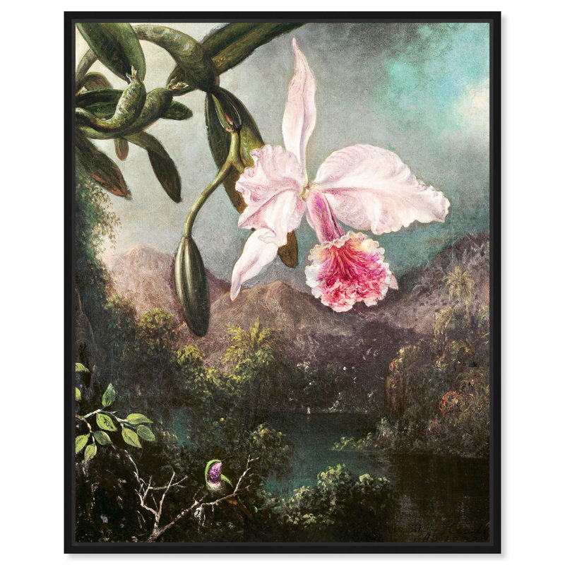 «Orchid Blossoms 1873», toile par Art Remedy, H 31 po x l 25 po, Noir, Cadre flottant