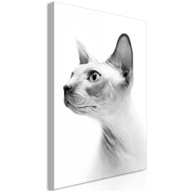 No Frame Print on Canvas, 40cm H x 60cm W