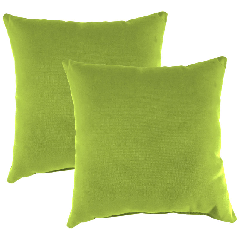 Sunbrella Outdoor Throw Pillow, Canvas Macaw Sunbrella® Canvas