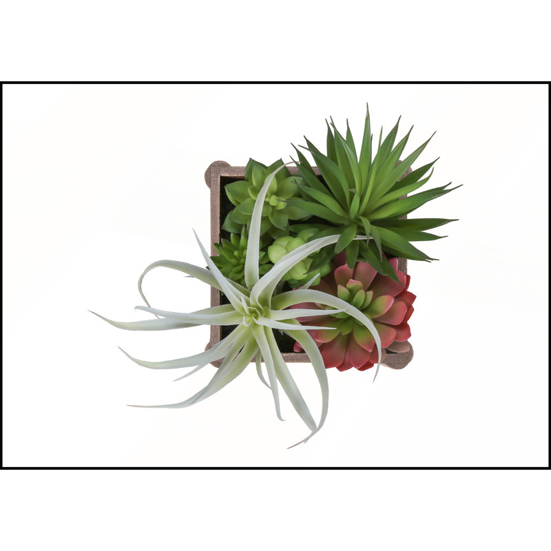 Ensemble de 2 plantes succulentes artificielles, 25 cm de hauteur, avec pots en bois brun pour une décoration de table moderne