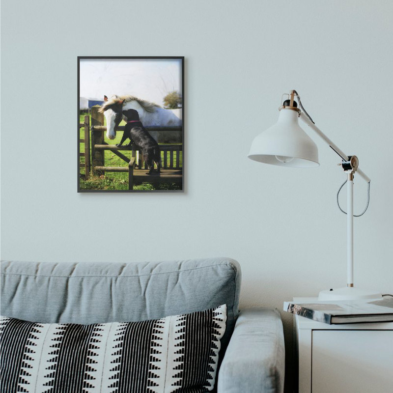 «Farm Horse and Dog», photographie, H 20 po x l 16 po x P 1,5 po, Giclée encadrée noir minuit
