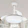 Chesterine 36'' Ceiling Fan with LED Lights