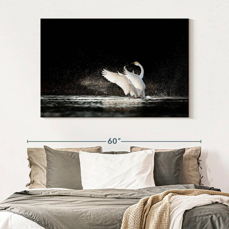 Swan Splashing Water, 34" H x 51" W