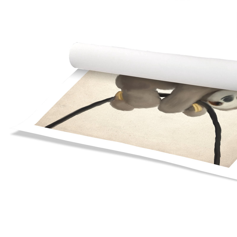 Impression de papier couché roulé, H 40 po x l 28 po x P 1 po