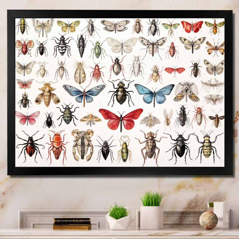 «Tiny Insect Wonders II», reproduction sur toile, H 30 po x l 40 po x P 1,5 po, Cadre simple noir