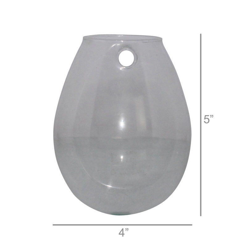 Terrarium en verre Jsoeph, H 5 po x l 3,25 po x P 4 po
