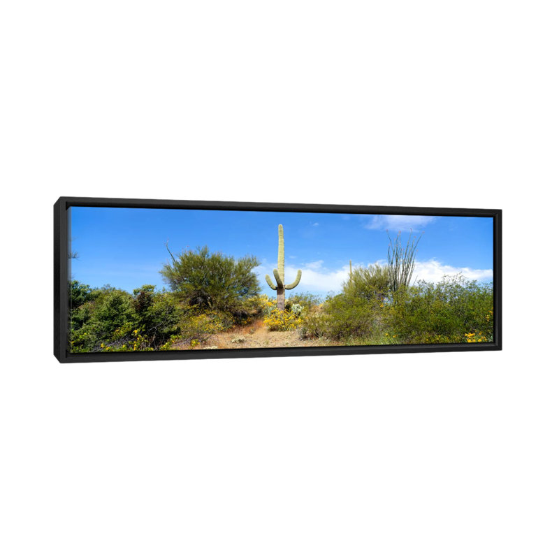 Panoramic Tucson, Arizona, reproduction de photo sur toile, H 16 po x l 48 po x P 1,5 po, Toile avec cadre noir