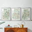 Têtes de fleurs vertes I - reproduction sur mesure encadrée de qualité supérieure - 3 pièces-778436484-778436481