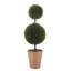 36" Double Boxwood Topiary in Pot