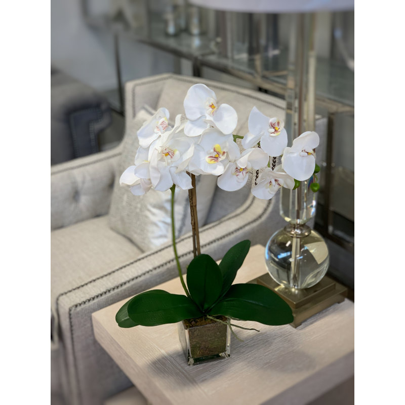 Orchid Arrangement in Square Glass Vase