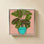 Plante en pot IV par Jen Bucheli - Impression sur toile-164840544-164840551