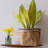 Solid Wood Floating Wall Shelf-2144260925