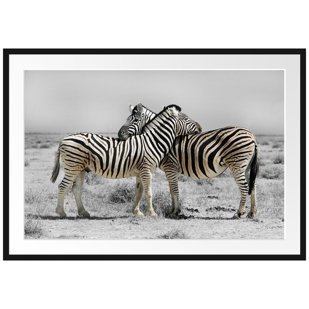 Gerahmtes Poster Zebras in der Savanne