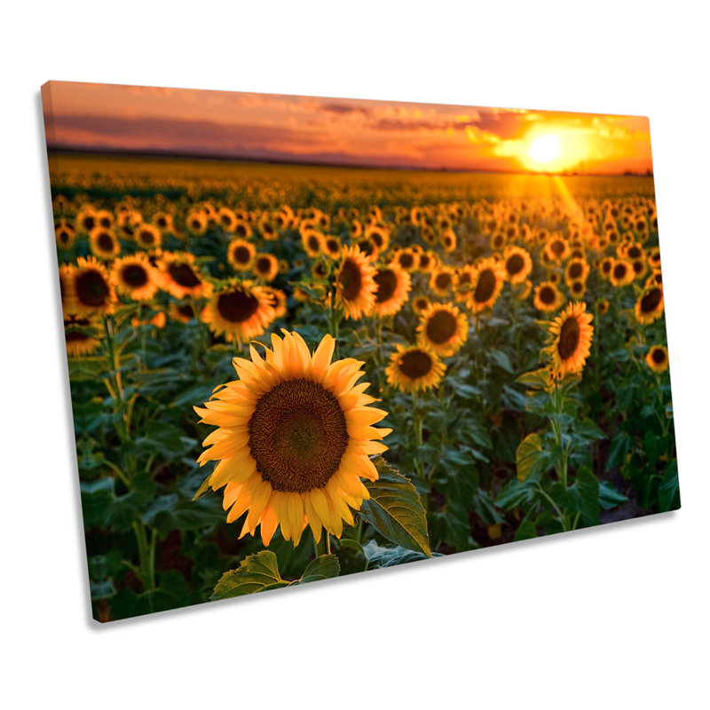 Sunflower Sunset Floral - Wrapped Canvas Print, 40.6cm H x 61cm W x 2cm D