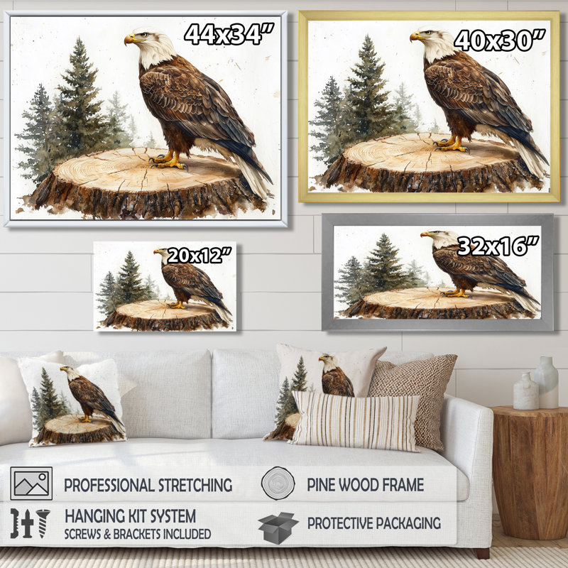 Gillean Eagle Silent Vigil In Summer - Eagle, art mural, H 12 po x l 20 po, Reproduction encadrée d'une seule photo, Noir